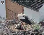 Capi_Dubne_20250608_171503.jpg