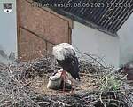 Capi_Dubne_20250608_172003.jpg