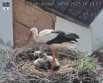Capi_Dubne_20250608_181503.jpg