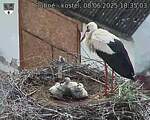 Capi_Dubne_20250608_183503.jpg