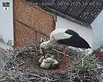 Capi_Dubne_20250608_184003.jpg