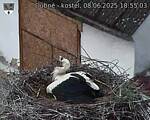 Capi_Dubne_20250608_185503.jpg