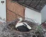 Capi_Dubne_20250608_190002.jpg