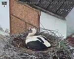 Capi_Dubne_20250608_190504.jpg