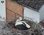 Capi_Dubne_20250608_191002.jpg