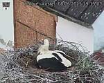Capi_Dubne_20250608_191503.jpg