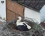 Capi_Dubne_20250608_192003.jpg