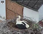 Capi_Dubne_20250608_193003.jpg