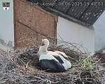 Capi_Dubne_20250608_194003.jpg