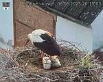 Capi_Dubne_20250608_201503.jpg