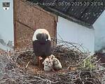 Capi_Dubne_20250608_202004.jpg