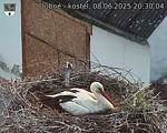 Capi_Dubne_20250608_203004.jpg