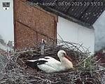 Capi_Dubne_20250608_205503.jpg