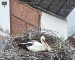 Capi_Dubne_20250608_211004.jpg