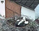 Capi_Dubne_20250608_211502.jpg