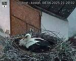 Capi_Dubne_20250608_212002.jpg