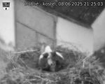 Capi_Dubne_20250608_212503.jpg