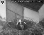 Capi_Dubne_20250608_213002.jpg