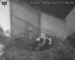 Capi_Dubne_20250608_214003.jpg