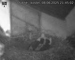 Capi_Dubne_20250608_214502.jpg