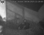 Capi_Dubne_20250608_222003.jpg