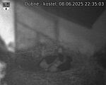 Capi_Dubne_20250608_223503.jpg