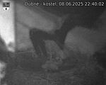 Capi_Dubne_20250608_224002.jpg