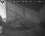 Capi_Dubne_20250608_231503.jpg