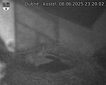 Capi_Dubne_20250608_232002.jpg