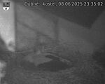 Capi_Dubne_20250608_233502.jpg
