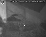 Capi_Dubne_20250608_234502.jpg