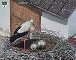 Capi_Dubne_20250609_102503.jpg