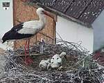 Capi_Dubne_20250609_123502.jpg