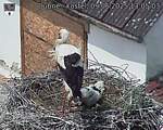 Capi_Dubne_20250609_130503.jpg