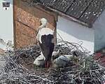 Capi_Dubne_20250609_131503.jpg