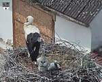 Capi_Dubne_20250609_141003.jpg