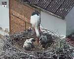 Capi_Dubne_20250609_141503.jpg