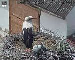Capi_Dubne_20250609_143003.jpg
