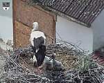 Capi_Dubne_20250609_144003.jpg