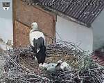 Capi_Dubne_20250609_144503.jpg