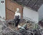 Capi_Dubne_20250609_153003.jpg