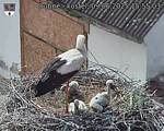 Capi_Dubne_20250609_155503.jpg