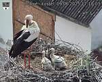 Capi_Dubne_20250609_171003.jpg