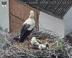 Capi_Dubne_20250609_172003.jpg