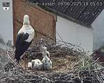 Capi_Dubne_20250609_180503.jpg