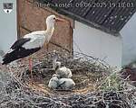 Capi_Dubne_20250609_191003.jpg