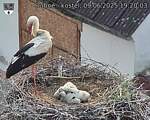 Capi_Dubne_20250609_192003.jpg