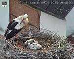 Capi_Dubne_20250609_194003.jpg