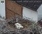 Capi_Dubne_20250609_200003.jpg