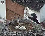 Capi_Dubne_20250609_210003.jpg